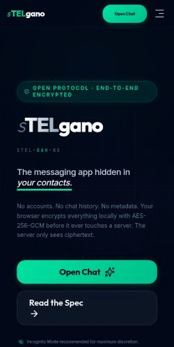 Screenshot of the audited page (Mobile 375×812)