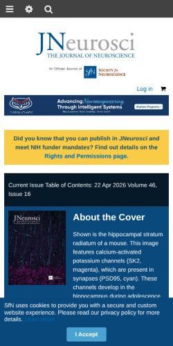 Screenshot of the audited page (Mobile 375×812)