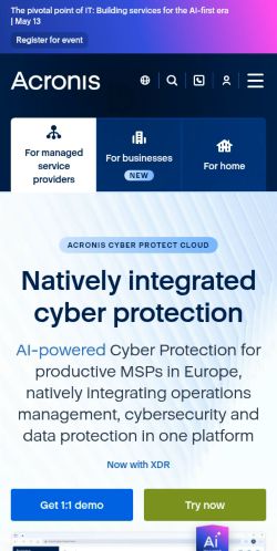 Screenshot of the audited page (Mobile 375×812)