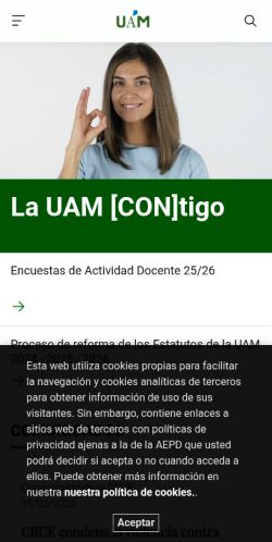 Screenshot of the audited page (Mobile 375×812)