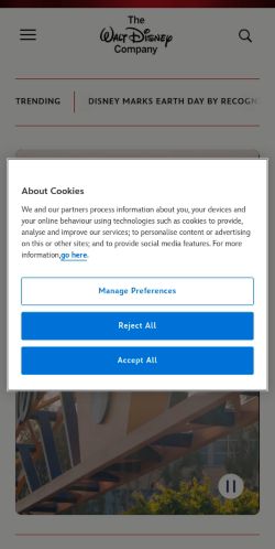Screenshot of the audited page (Mobile 375×812)