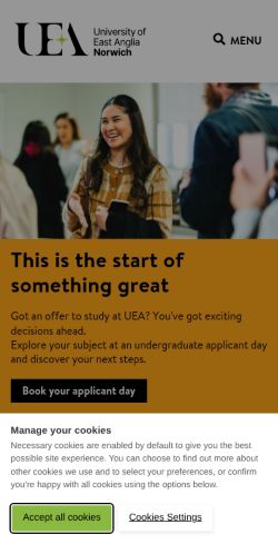 Screenshot of the audited page (Mobile 375×812)
