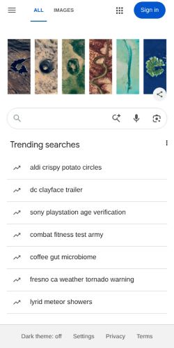 Screenshot of the audited page (Mobile 375×812)