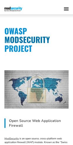 Screenshot of the audited page (Mobile 375×812)