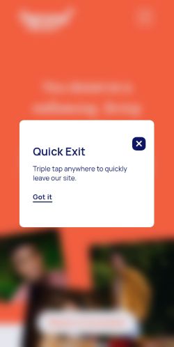 Screenshot of the audited page (Mobile 375×812)