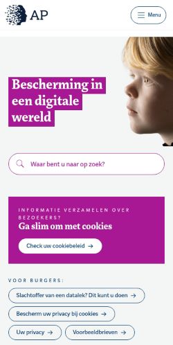 Screenshot of the audited page (Mobile 375×812)