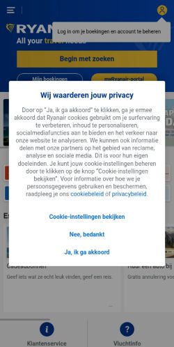 Screenshot of the audited page (Mobile 375×812)