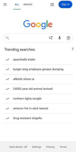 Screenshot of the audited page (Mobile 375×812)