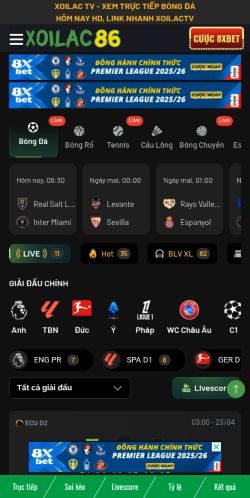 Screenshot of the audited page (Mobile 375×812)