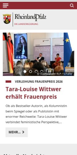 Screenshot of the audited page (Mobile 375×812)