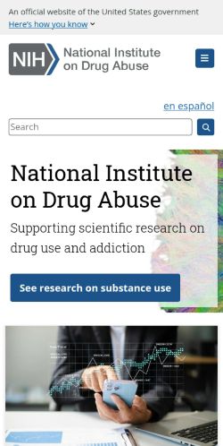 Screenshot of the audited page (Mobile 375×812)