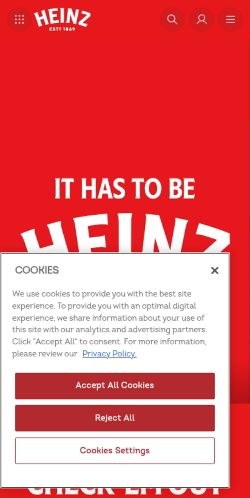 Screenshot of the audited page (Mobile 375×812)