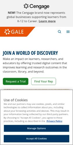 Screenshot of the audited page (Mobile 375×812)
