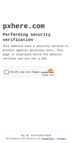 Screenshot of the audited page (Mobile 375×812)
