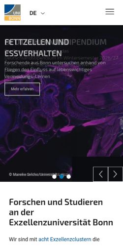 Screenshot of the audited page (Mobile 375×812)