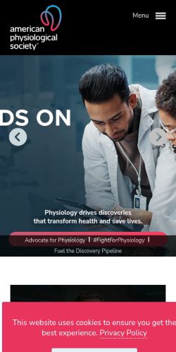 Screenshot of the audited page (Mobile 375×812)