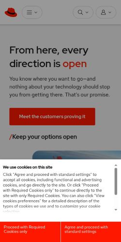 Screenshot of the audited page (Mobile 375×812)