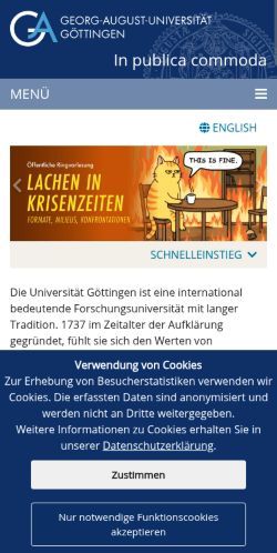 Screenshot of the audited page (Mobile 375×812)