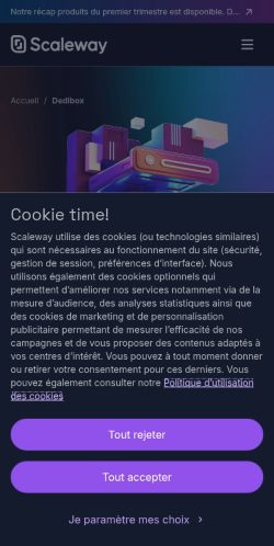 Screenshot of the audited page (Mobile 375×812)
