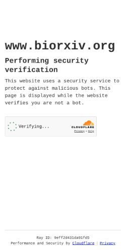 Screenshot of the audited page (Mobile 375×812)