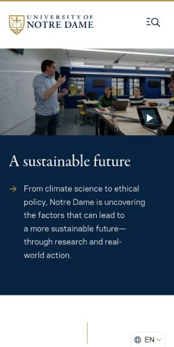 Screenshot of the audited page (Mobile 375×812)