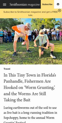Screenshot of the audited page (Mobile 375×812)