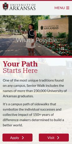 Screenshot of the audited page (Mobile 375×812)
