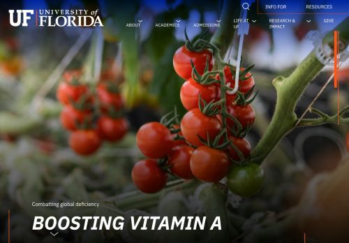 Screenshot of the audited page (Desktop 1440×900)