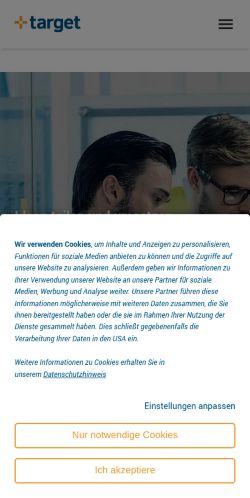 Screenshot of the audited page (Mobile 375×812)