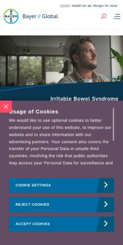 Screenshot of the audited page (Mobile 375×812)