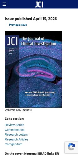 Screenshot of the audited page (Mobile 375×812)