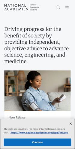 Screenshot of the audited page (Mobile 375×812)