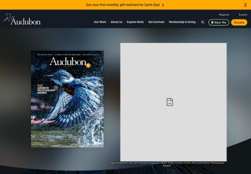 Screenshot of the audited page (Desktop 1440×900)