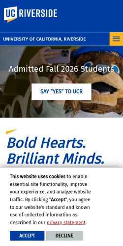 Screenshot of the audited page (Mobile 375×812)