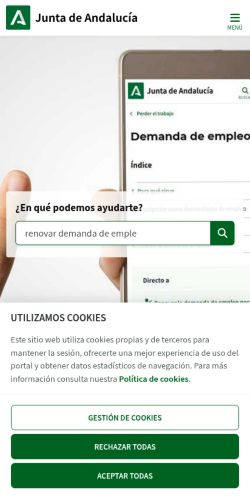 Screenshot of the audited page (Mobile 375×812)