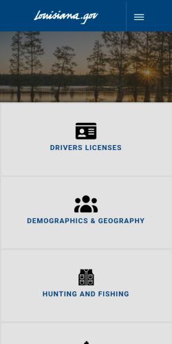 Screenshot of the audited page (Mobile 375×812)