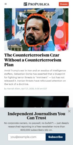 Screenshot of the audited page (Mobile 375×812)