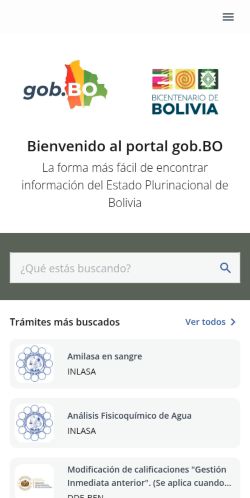 Screenshot of the audited page (Mobile 375×812)
