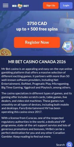 Screenshot of the audited page (Mobile 375×812)