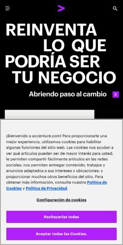 Screenshot of the audited page (Mobile 375×812)
