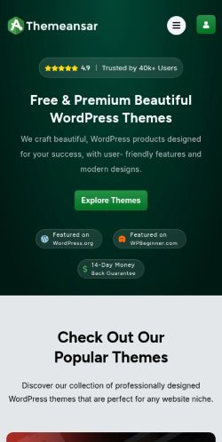 Screenshot of the audited page (Mobile 375×812)