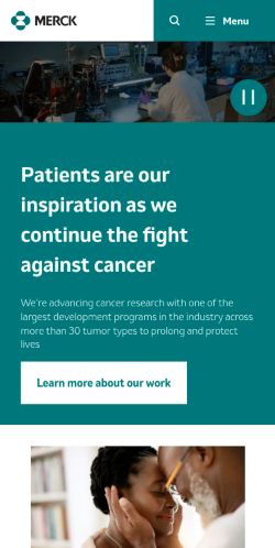 Screenshot of the audited page (Mobile 375×812)