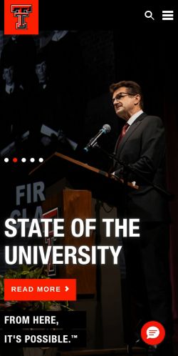 Screenshot of the audited page (Mobile 375×812)