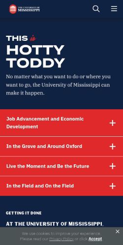 Screenshot of the audited page (Mobile 375×812)