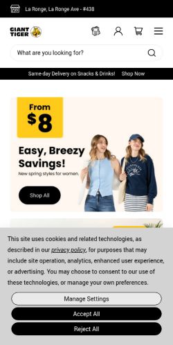 Screenshot of the audited page (Mobile 375×812)