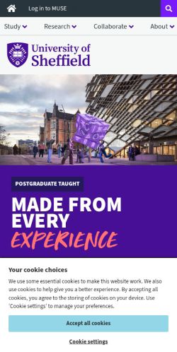 Screenshot of the audited page (Mobile 375×812)