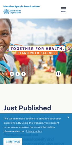 Screenshot of the audited page (Mobile 375×812)