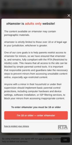 Screenshot of the audited page (Mobile 375×812)