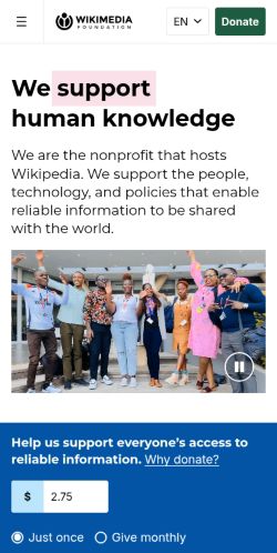 Screenshot of the audited page (Mobile 375×812)