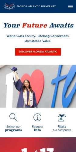 Screenshot of the audited page (Mobile 375×812)